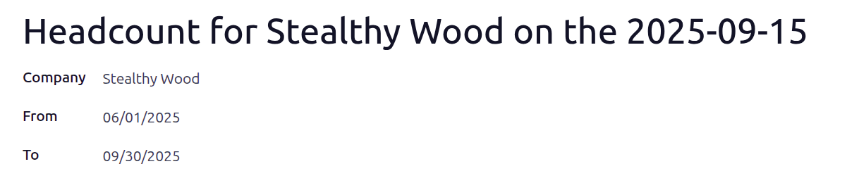 为 2025 年第三季度填写的人员编制报告表单。