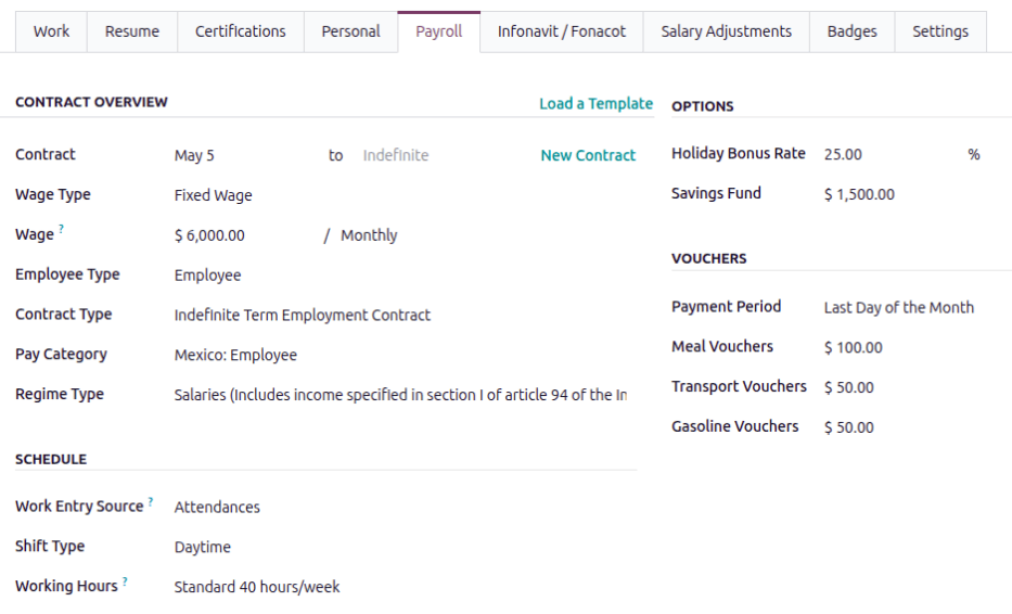 为墨西哥填写的员工表单的薪资标签页。