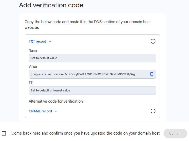 在 Google Workspace 上复制 TXT 值